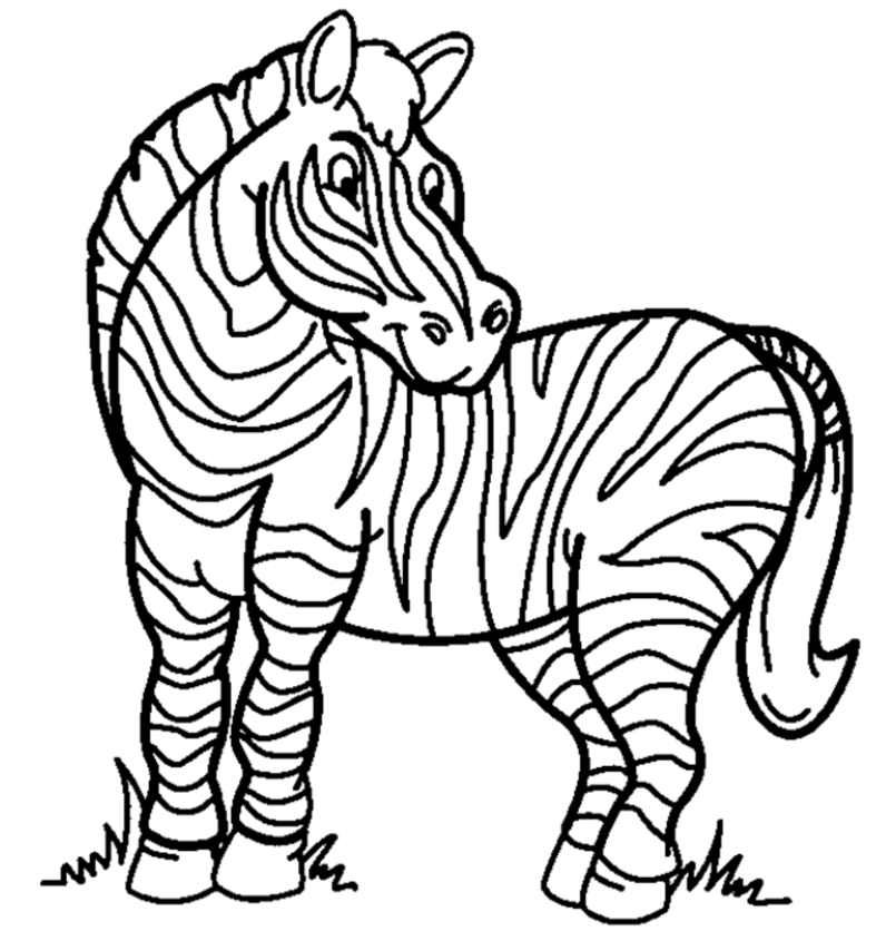 Zebra Coloring Pages | Clipart Panda - Free Clipart Images