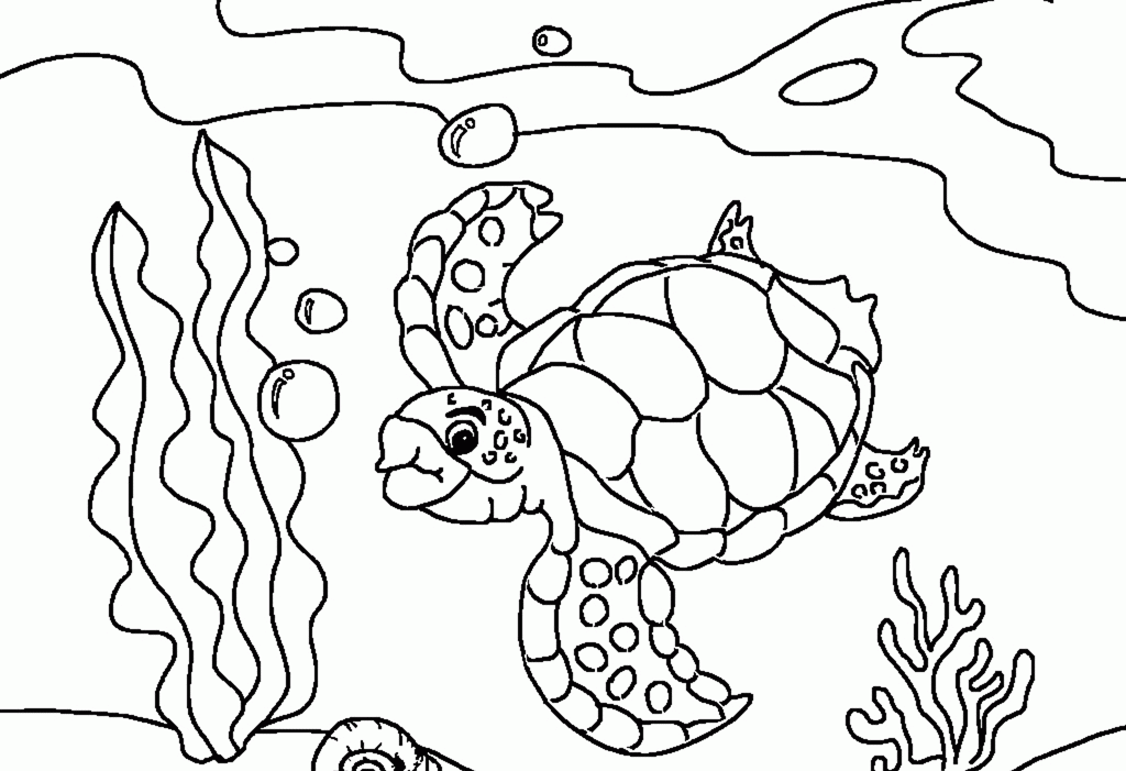 Animal Coloring Ocean Coloring Page Ocean Fish Coloring Pages Big 
