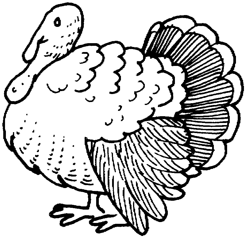 Free Turkey Coloring Pages