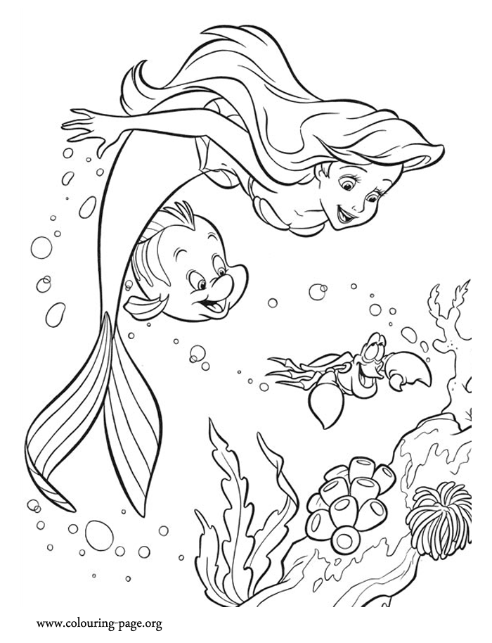The Little Mermaid - Ariel, Sebastian and Flounder having fun 