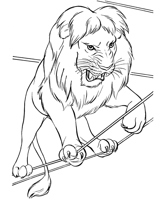 free printable animal coloring pages – 670×820 Coloring picture 