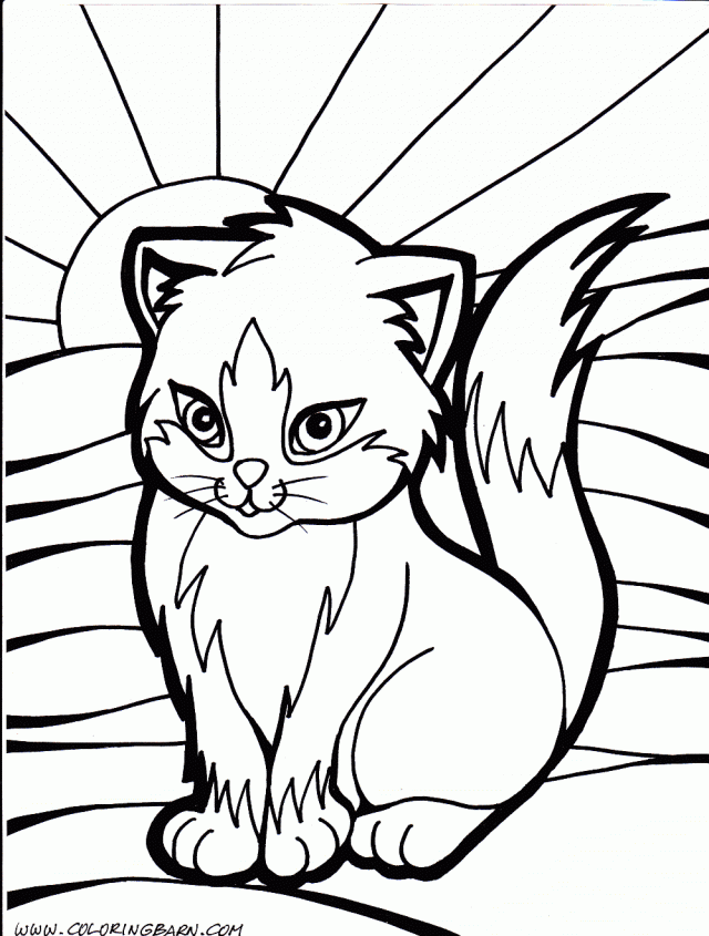 Cat Coloring Pages 108 261163 High Definition Wallpapers Wallalay 