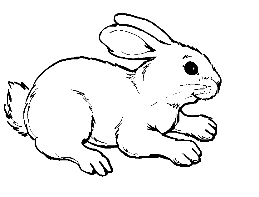 Animal Coloring How To Draw A Plush Bunny, Step By Step, Easter 