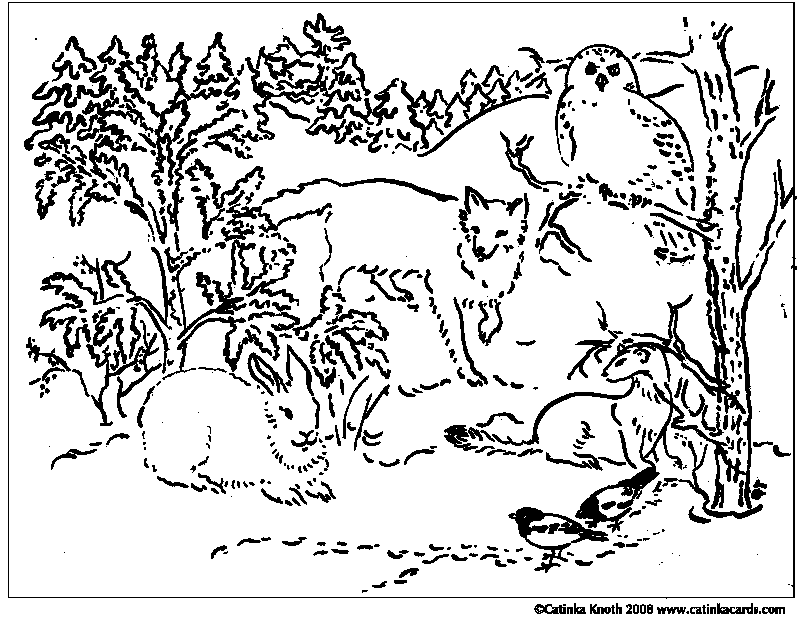 Winter Animals Coloring Pages - Free Printable Coloring Pages 