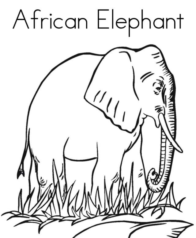 Free Printable Africa Animal Giraffe Pair Coloring Pages For Kids 
