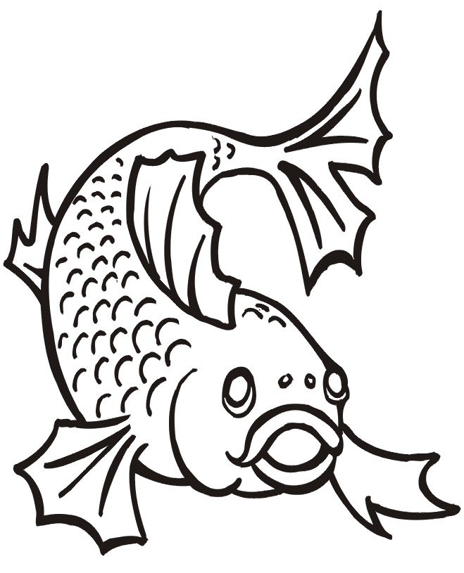 Fish Coloring Picture