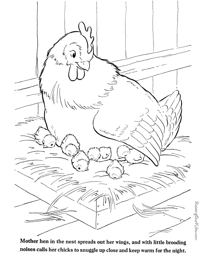 Farm Animal Coloring Sheet - Chickens to print and color 026