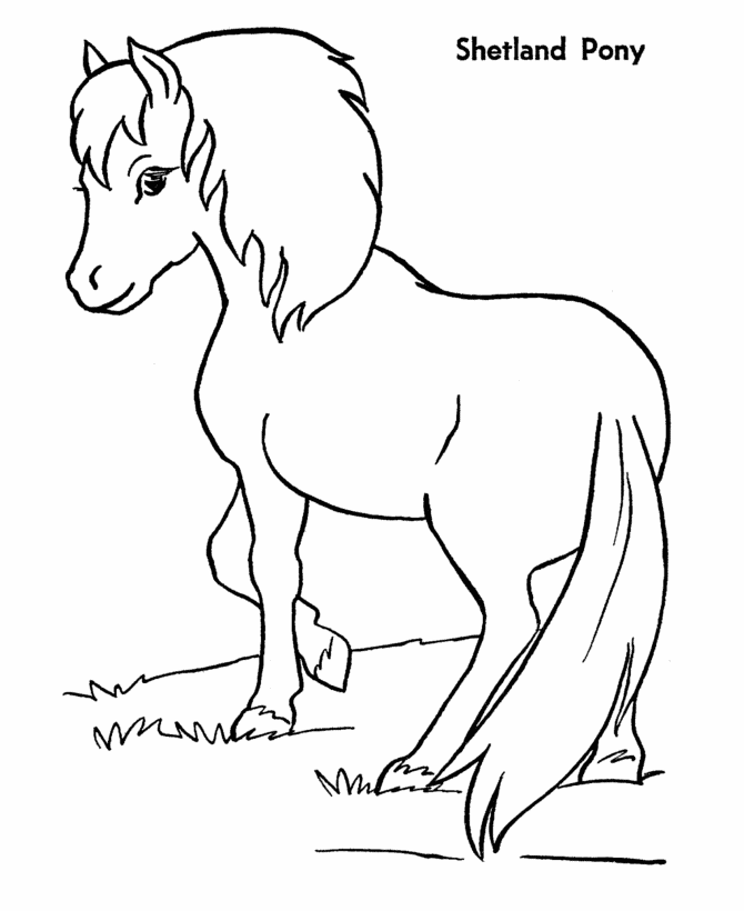 Horse Coloring Pages | Printable Shetland Pony Coloring Page ...