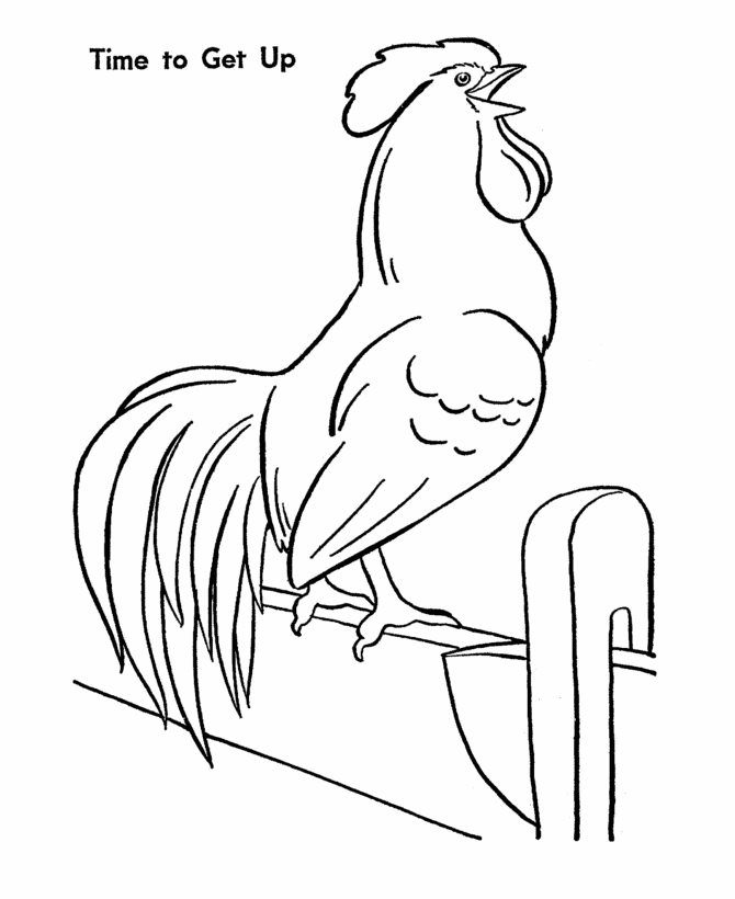 Farm Animal Coloring Pages | Printable Chicken Farm Rooster ...