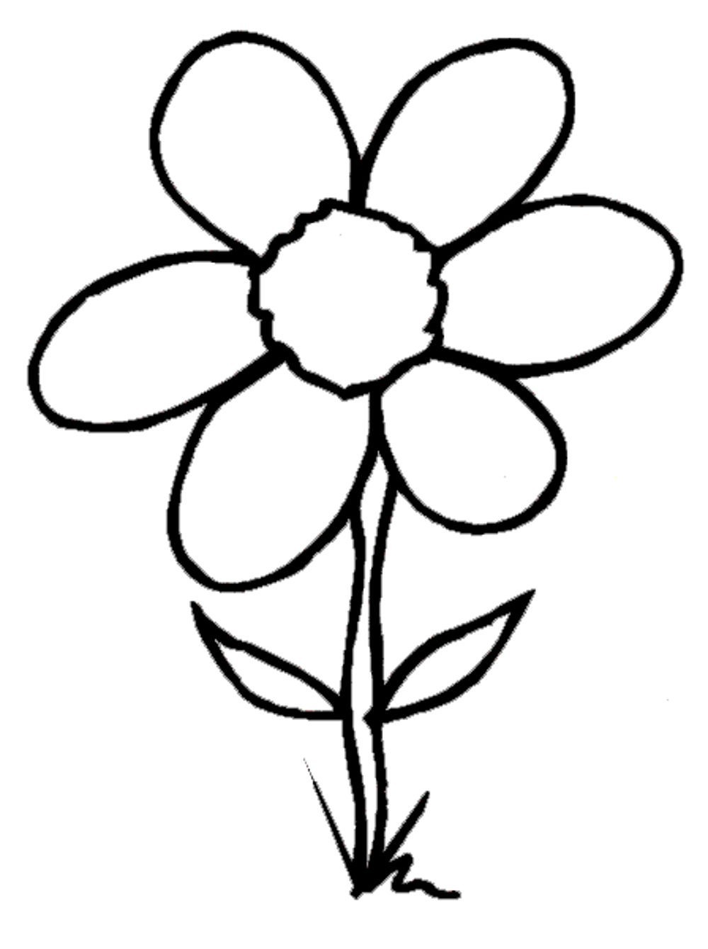 hawaiian-flower-coloring-pages | | BestAppsForKids.com
