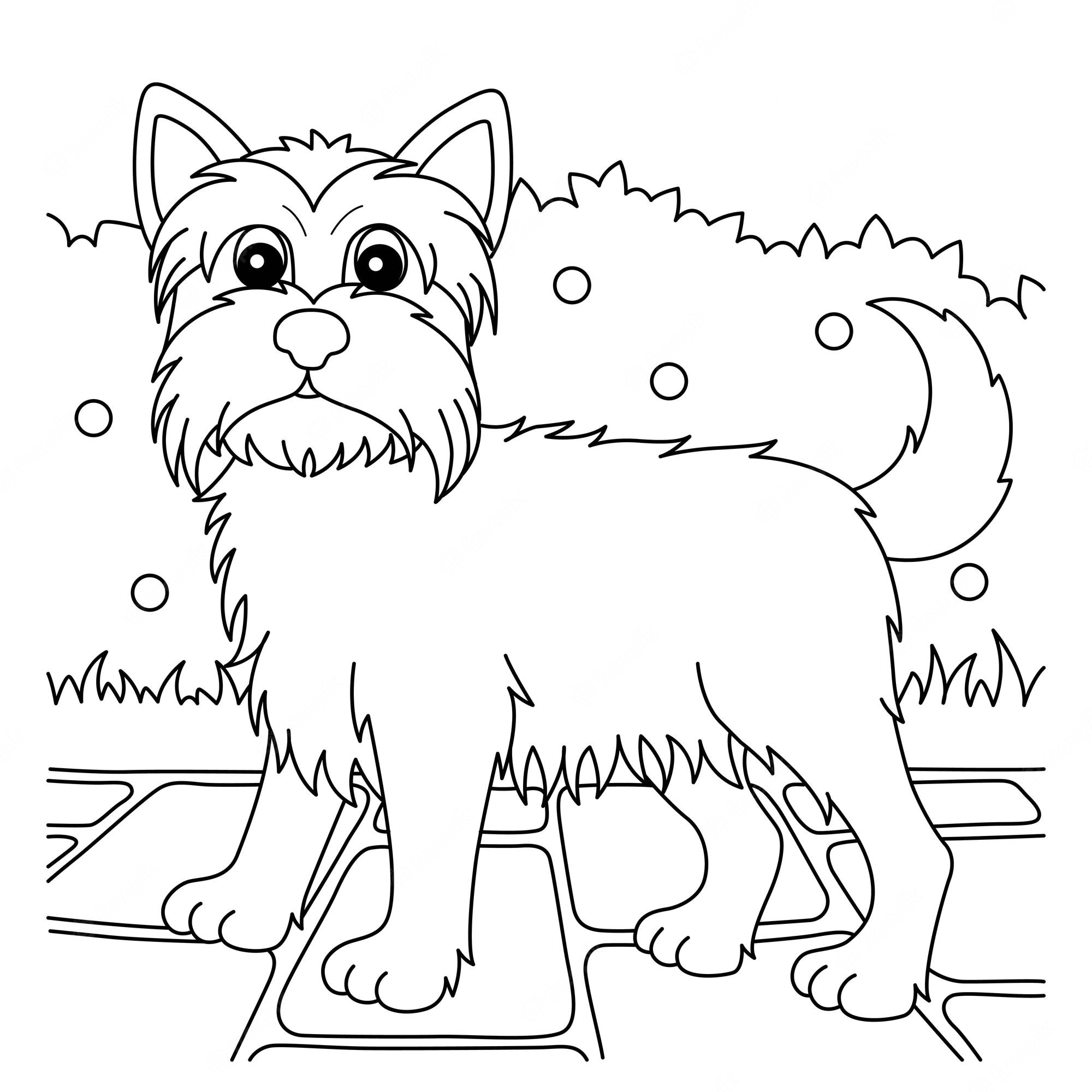 Premium Vector | Yorkshire terrier dog coloring page for kids