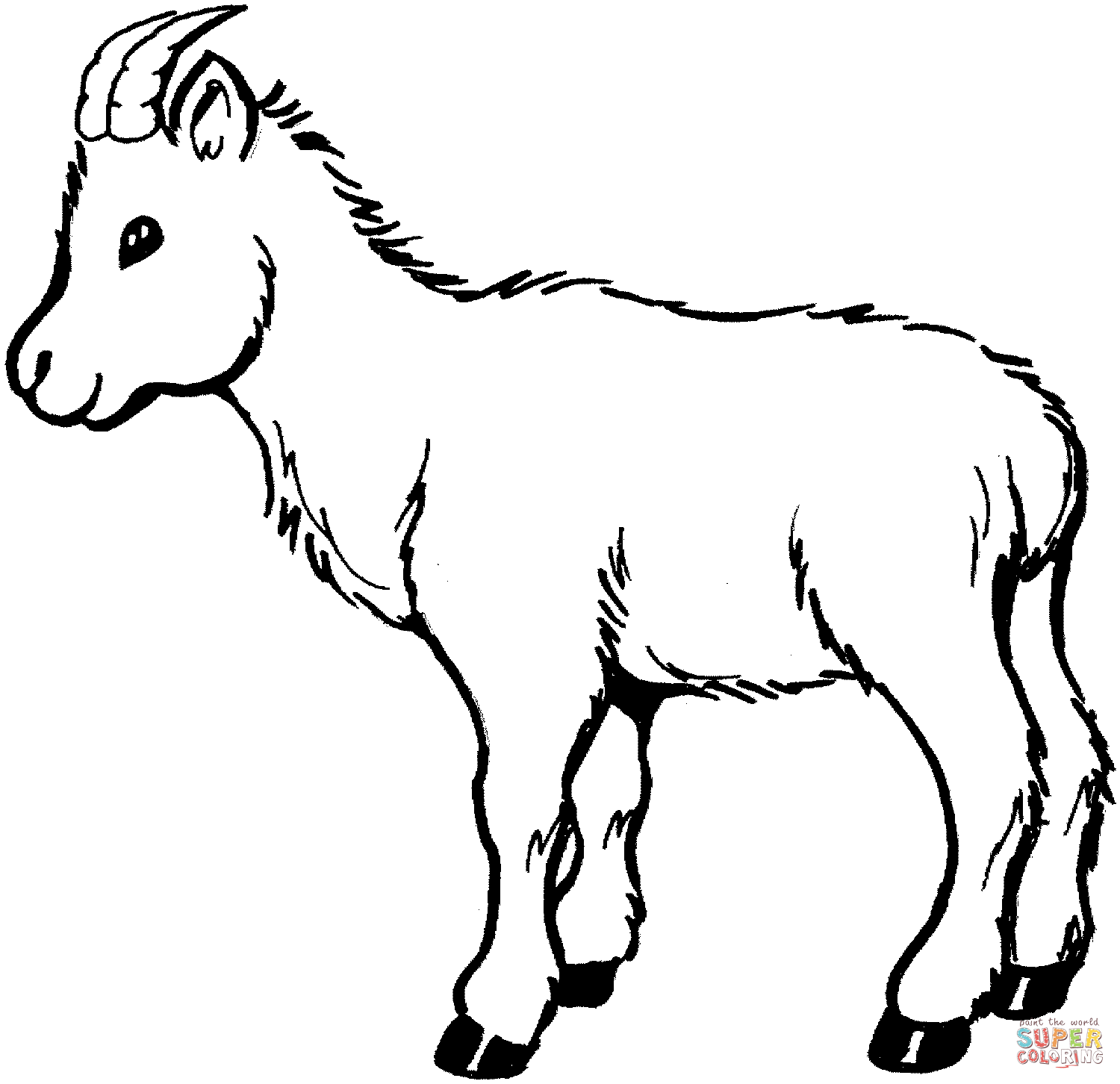 Female Goat coloring page | Free Printable Coloring Pages