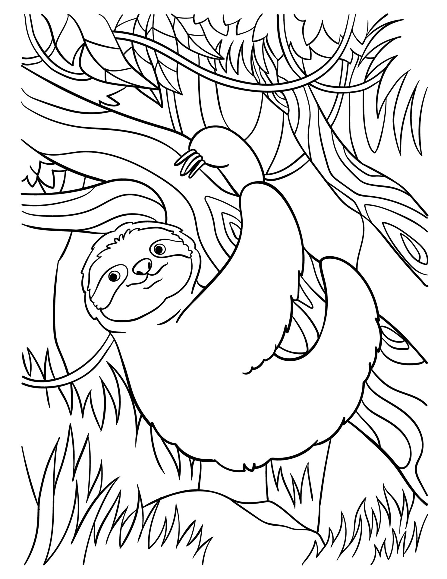 Sloth Coloring Page for Kids 13801578 Vector Art at Vecteezy