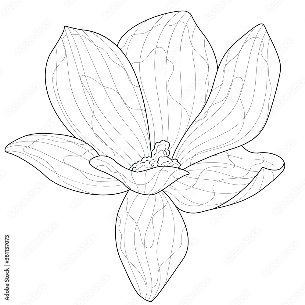 Magnolia flower.Coloring book antistress for children and adults.  Zen-tangle style.Black and white drawing Stock Vector | Adobe Stock