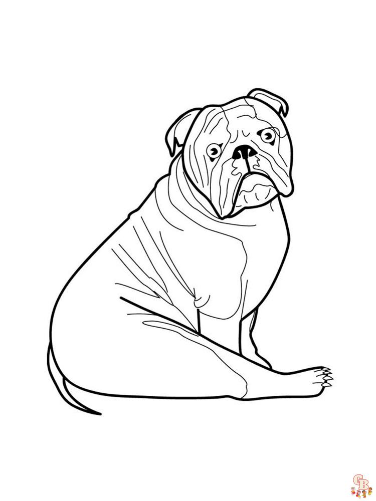Bull Dogs Coloring Pages Free, Printable, and Easy Options