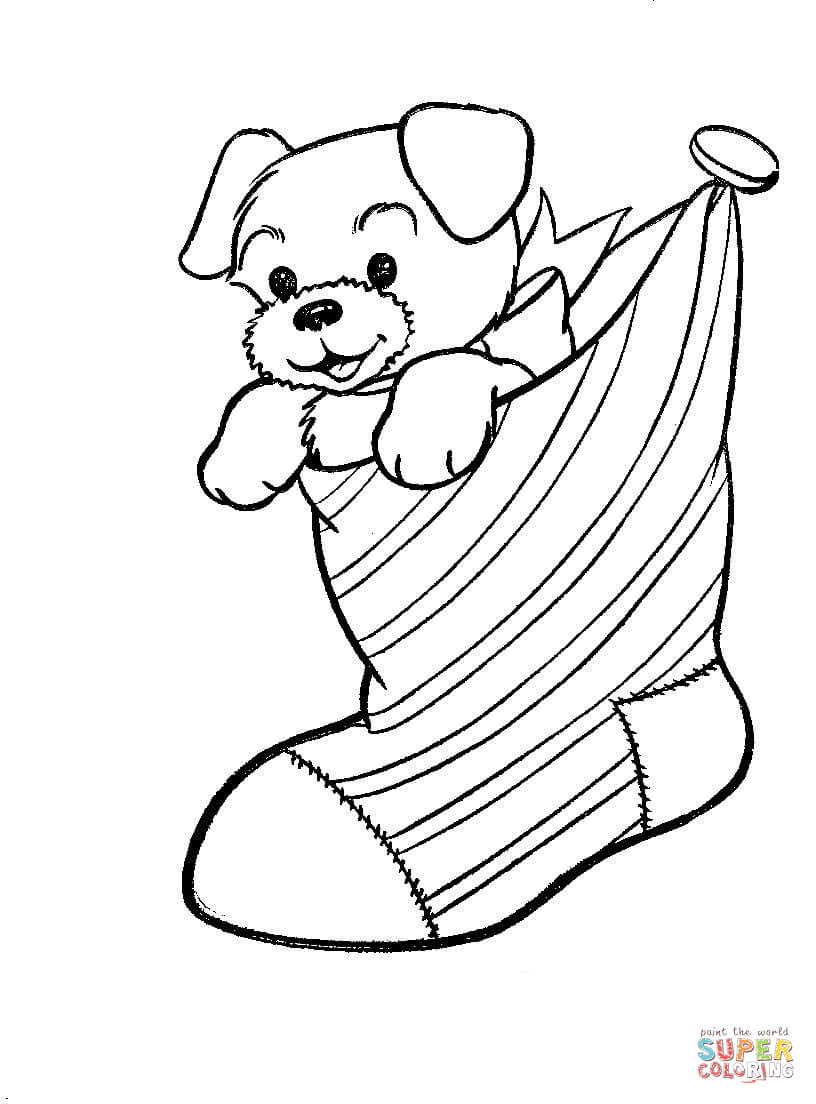 A Puppy Dog In A Christmas Stocking coloring page | Free Printable Coloring  Pages