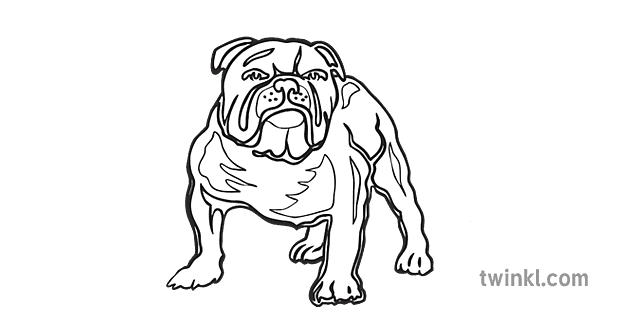 Canterbury Bankstown Bulldogs nwa e blan RGB Illustration - Twinkl