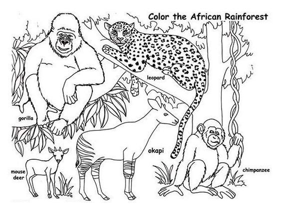 Pin on animal coloring pages