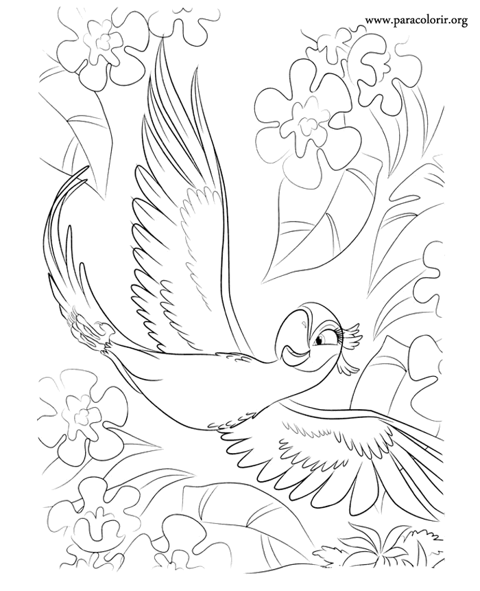 Rio: The Movie - Jewel coloring page | Páginas para colorir da disney,  Desenhos lindos para colorir, Cores disney