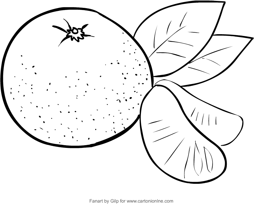 Drawing tangerines coloring page