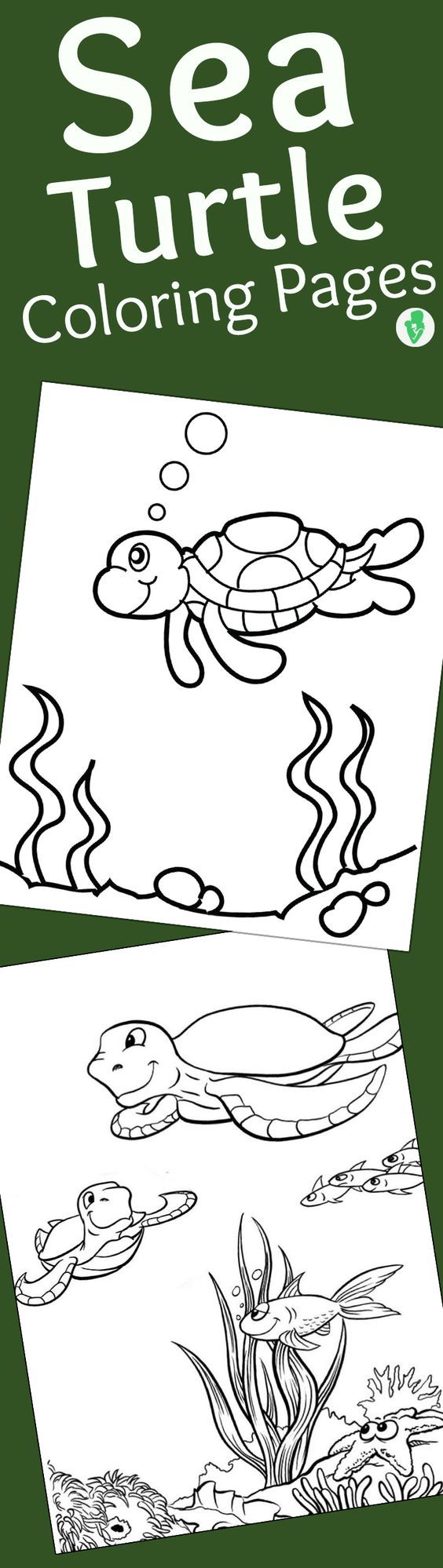 Top 10 Free Printable Cute Sea Turtle Coloring Pages Online | Sea ...