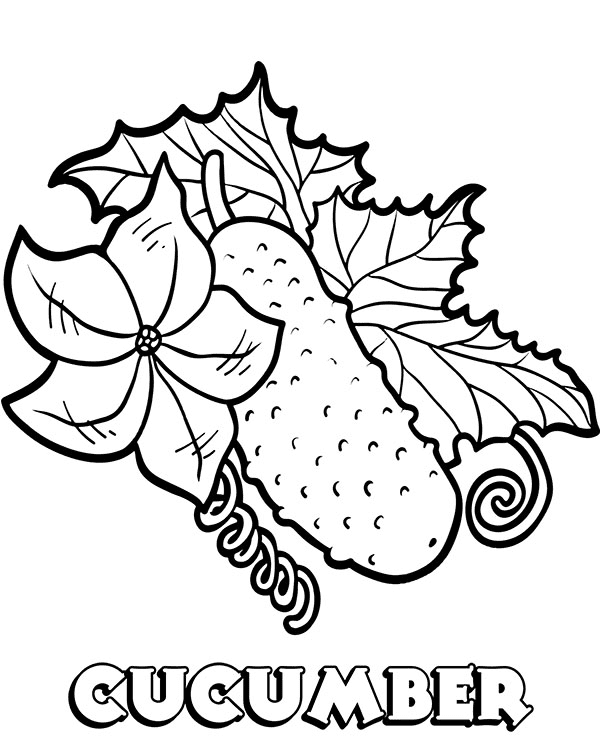 Cucumber Coloring Pages - Vegetable Coloring Pages - Coloring Pages For  Kids And Adults