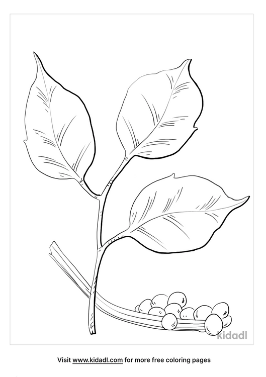 Poison Ivy Coloring Pages | Free Plants Coloring Pages | Kidadl