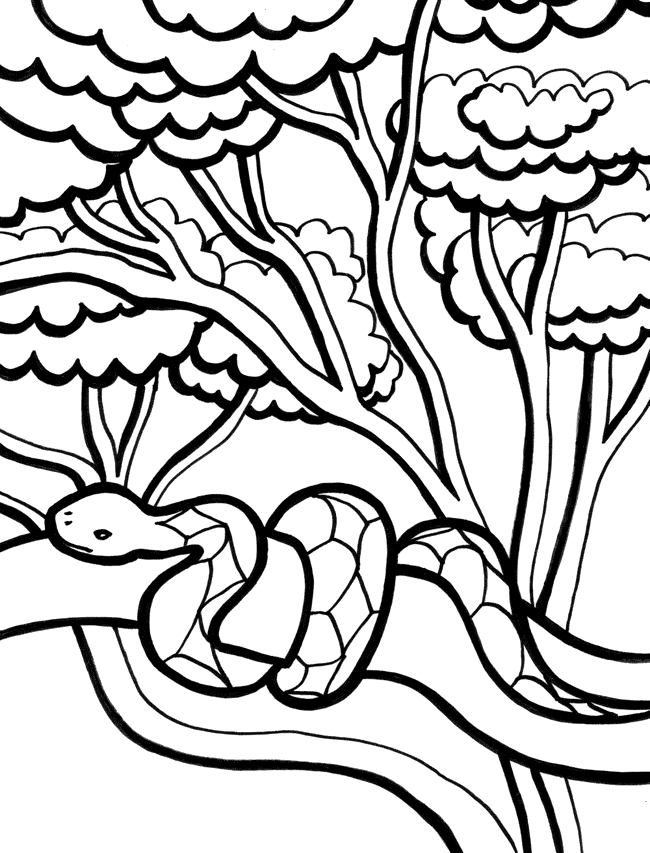 Free Snake Coloring Page - Toyolaenergy.com