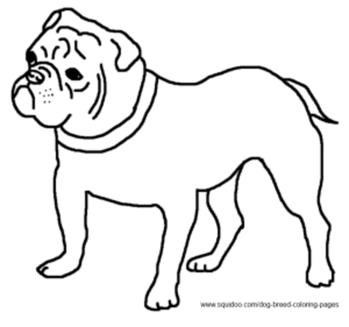 Dog Breed Coloring Pages - HubPages
