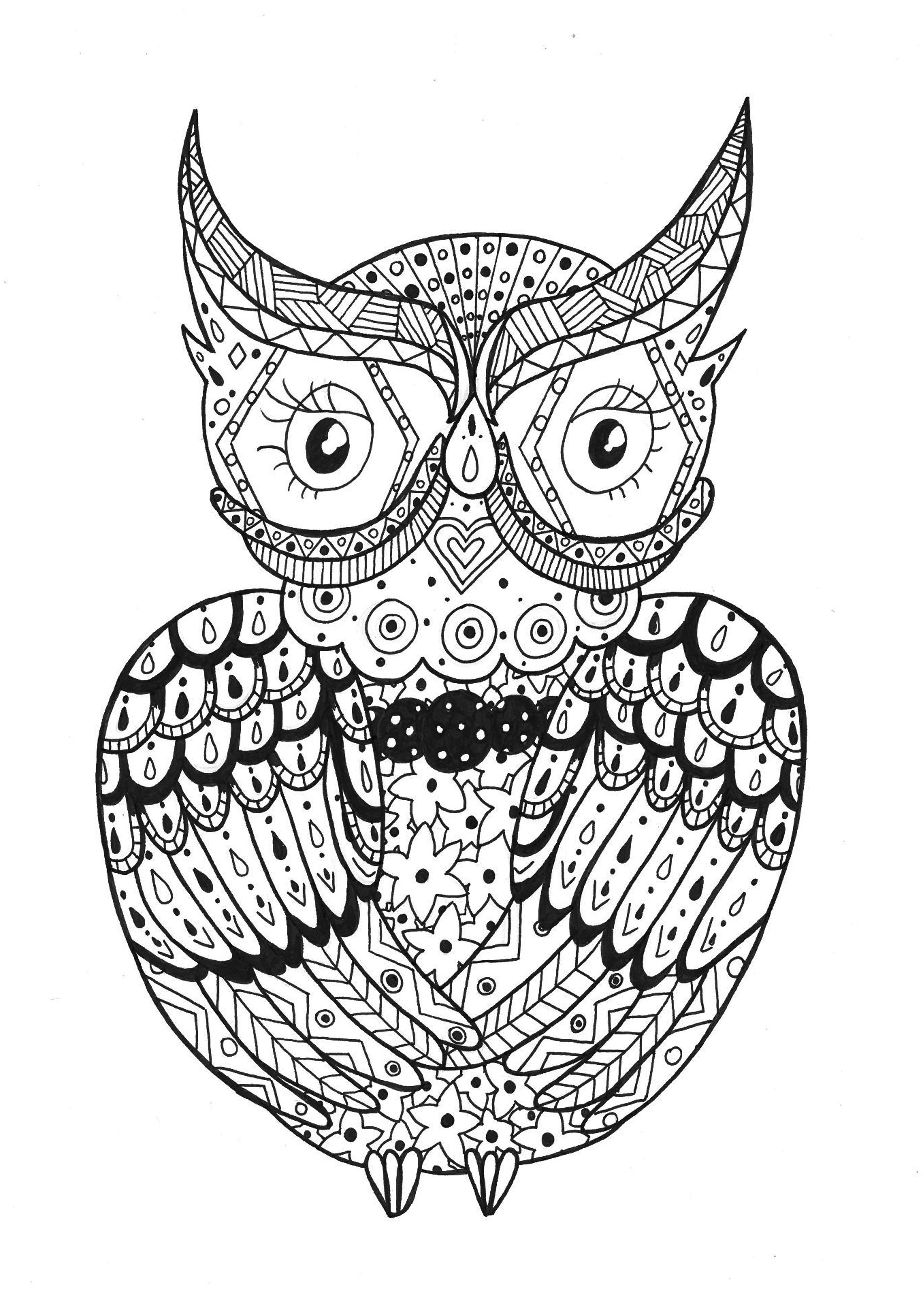 Zentangle - Coloring Pages for adults