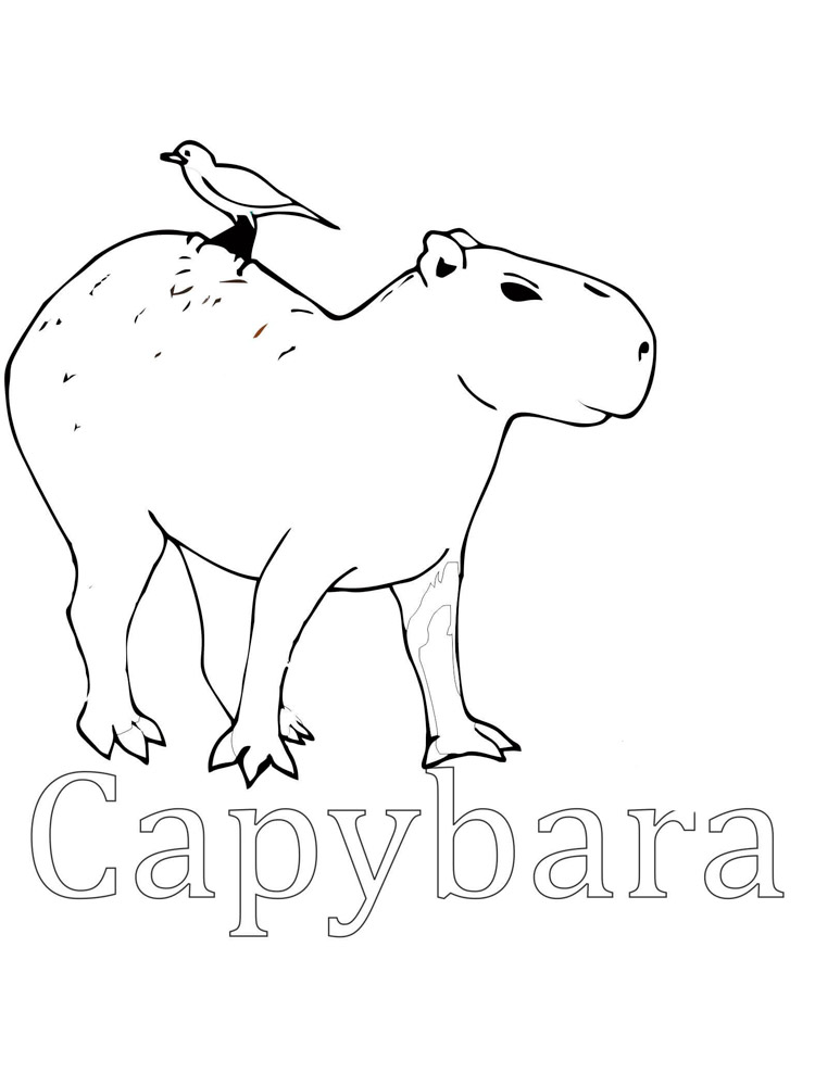 Capybara coloring pages