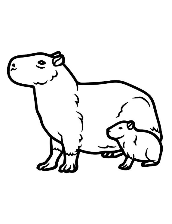 Capybara Coloring Book: A Cute Kids Coloring Books for - Etsy