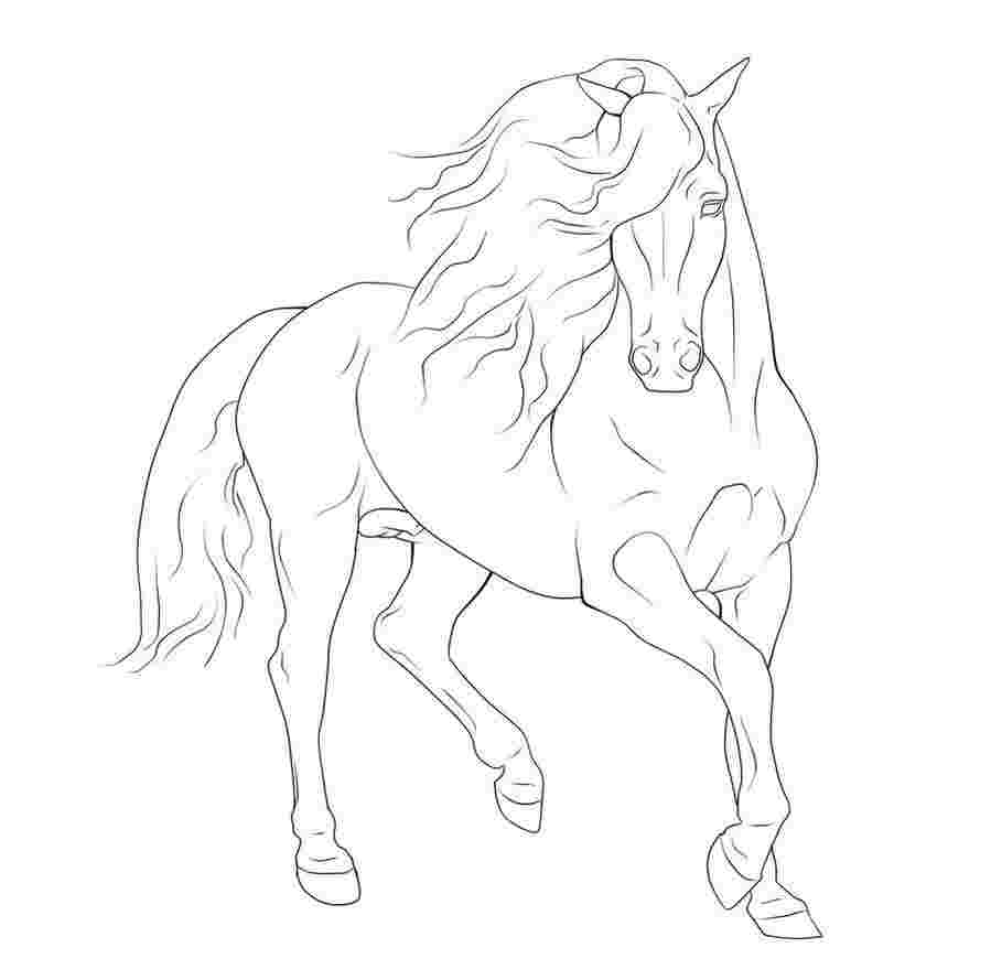 horse drawing coloring pages running arabian horse coloring page ...