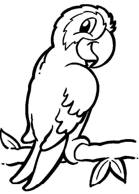 Parrot coloring - Free Animal coloring pages sheets Parrot