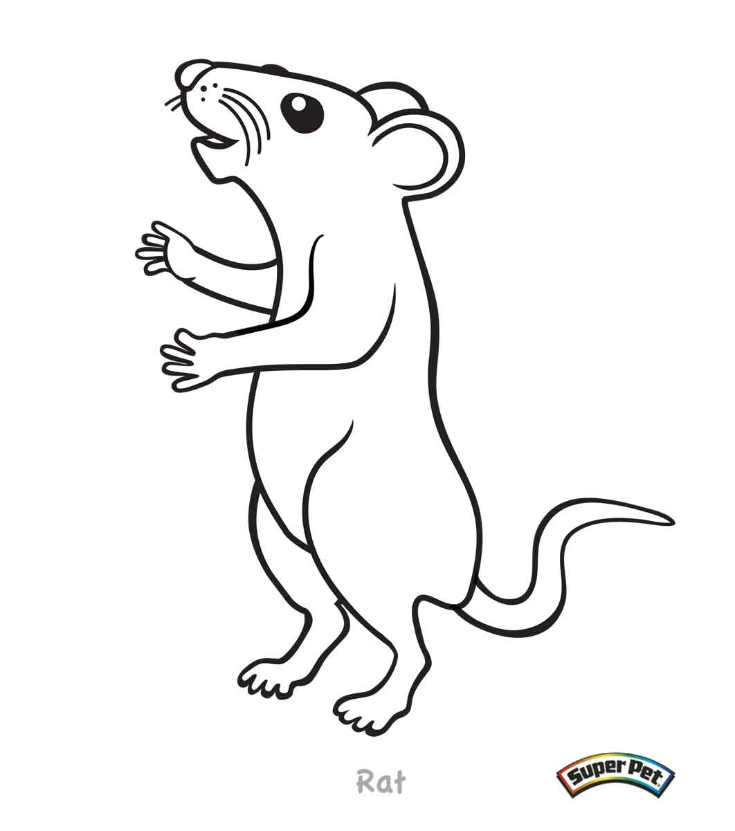 Click The Kangaroo Rat Coloring Pages - Cartoon Rat Coloring Page ...