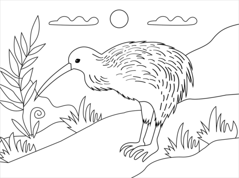 Kiwi Bird coloring page | Free Printable Coloring Pages