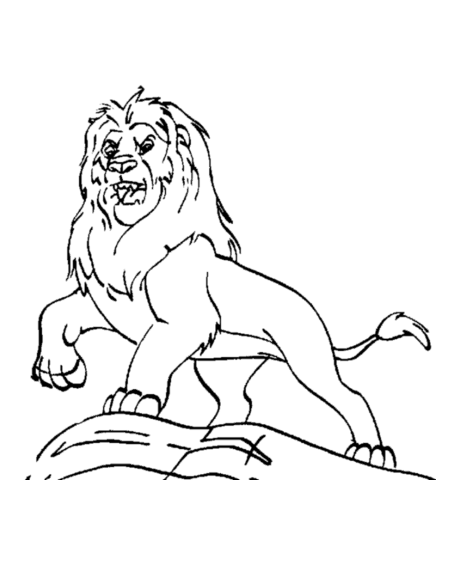 Mountain lion coloring pages