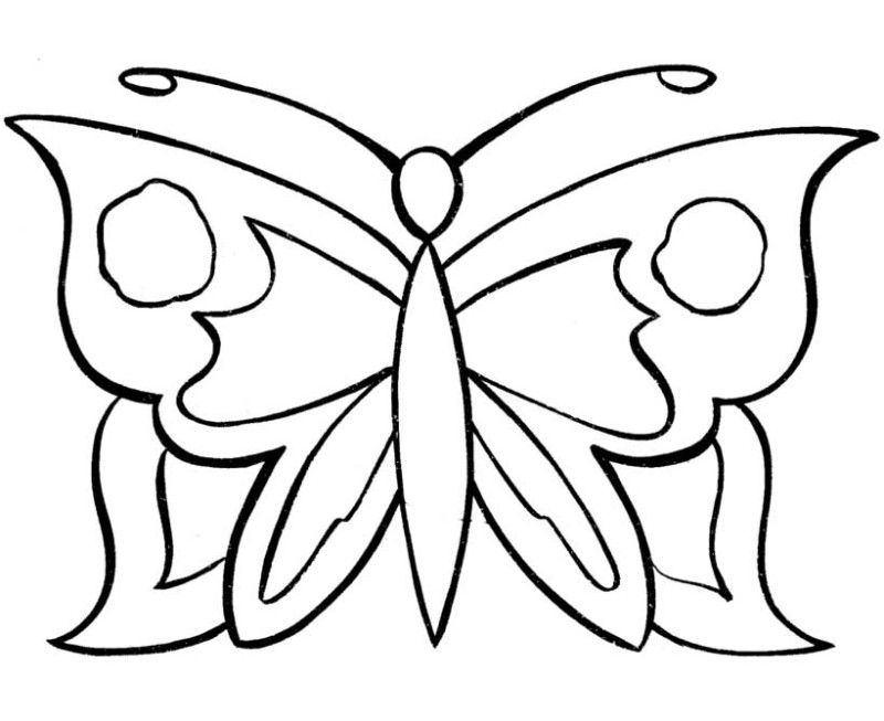 simple-pattern-butterfly-coloring-pages: simple-pattern-butterfly 