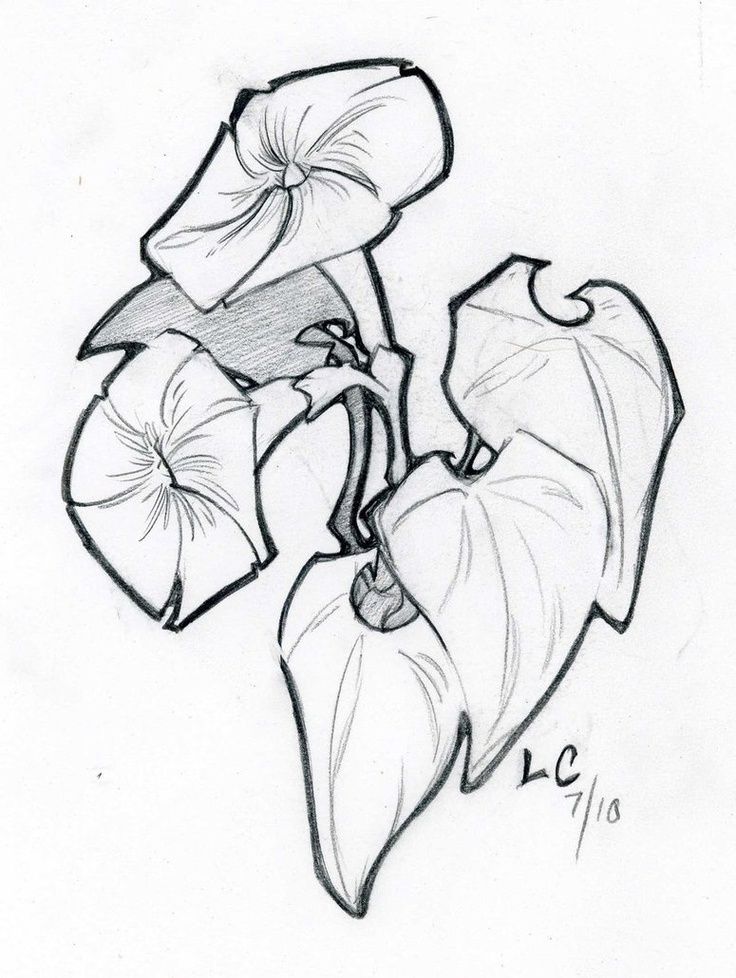 Stencils