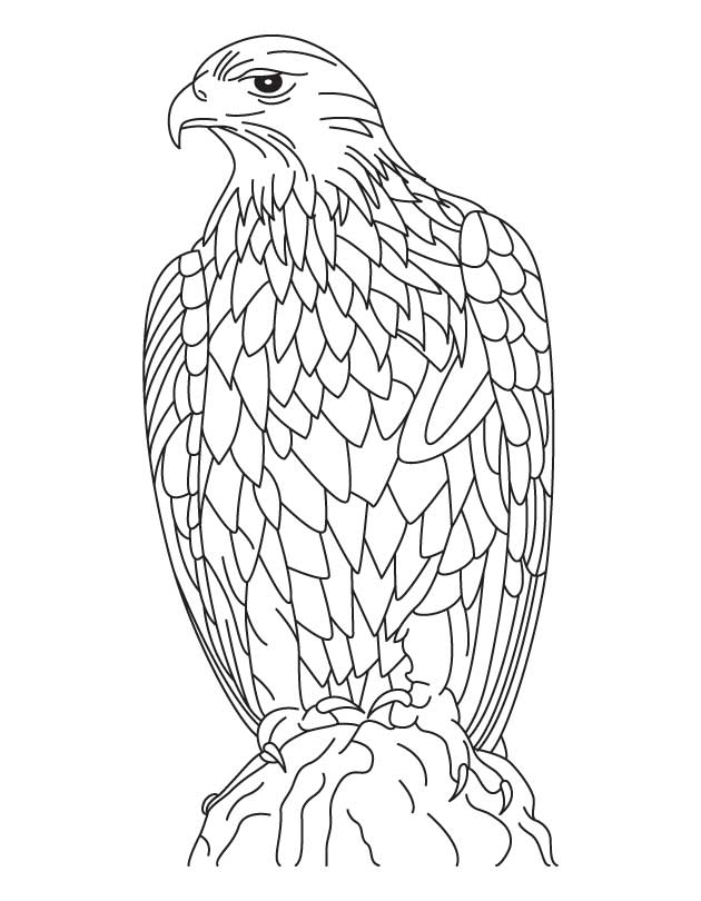 Silent golden eagle coloring page | Download Free Silent golden 