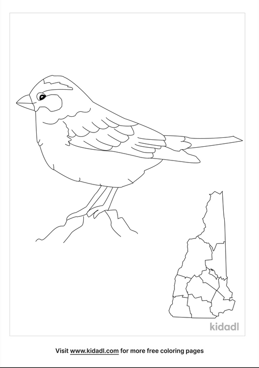 New Hampshire Coloring Pages | Free Usa Coloring Pages | Kidadl