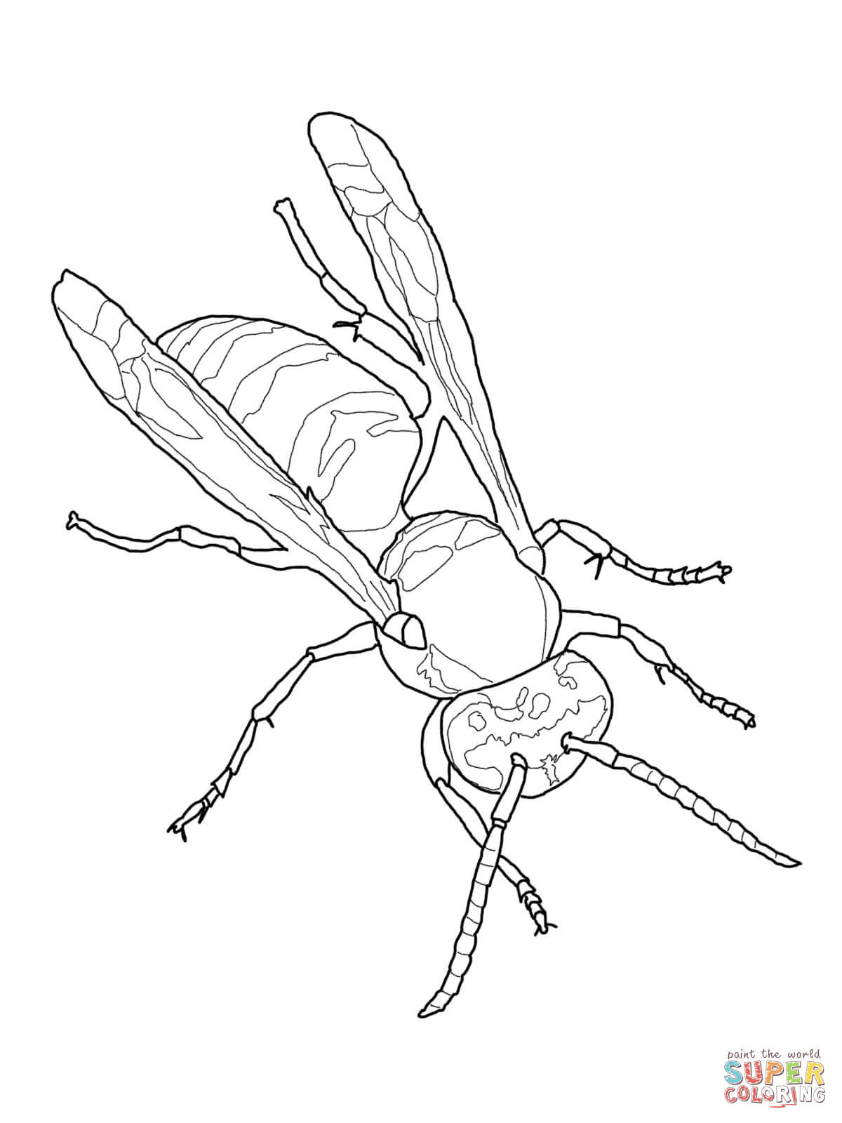 Eastern Yellow Jacket Coloring Page