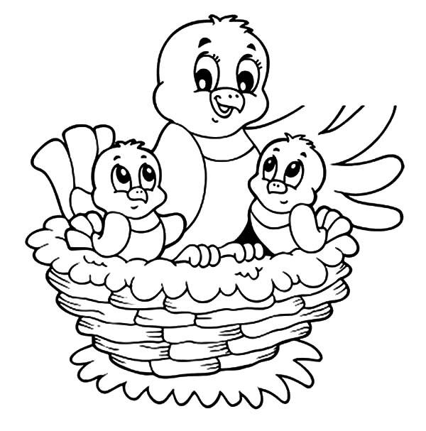 Bird And Her Baby Live In Bird Nest Coloring Pages : Best Place to Color