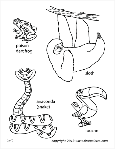 Posion Dart Frog | Free Printable Templates & Coloring Pages |  FirstPalette.com