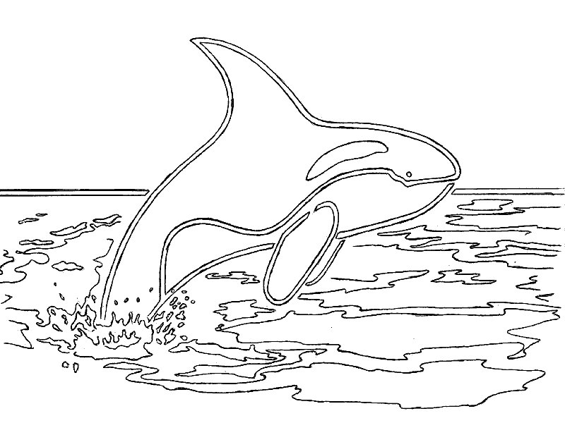 â· Coloring Pages Sea Animals: Animated Images, Gifs, Pictures ...