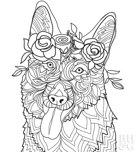 24 Free Pet Coloring Pages | Better Homes & Gardens