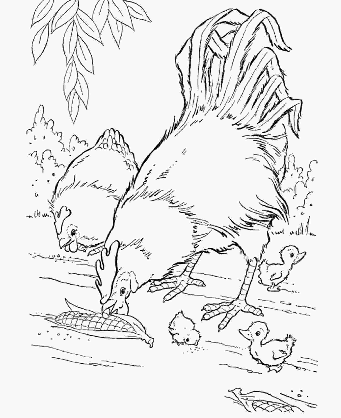 20 Free Coloring Pages Animals Realistic | Florence Ambrose