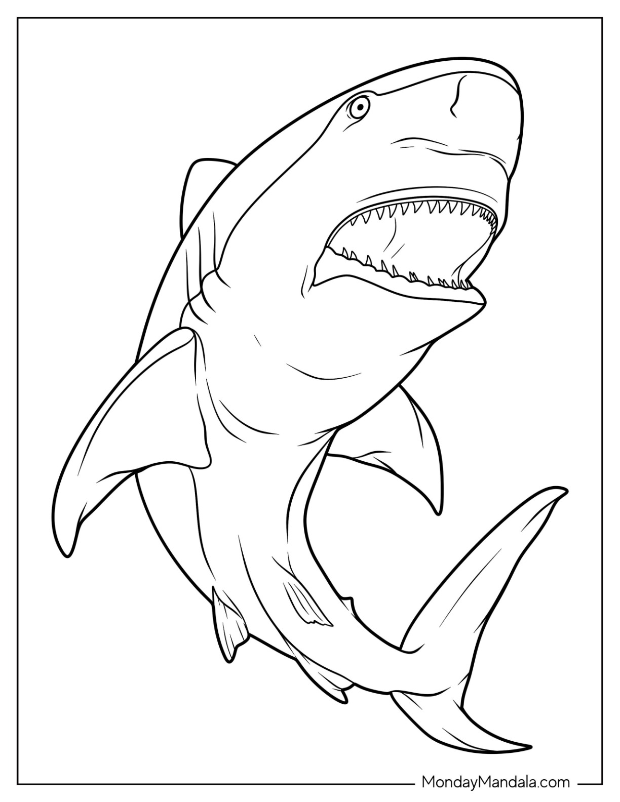 34 Shark Coloring Pages (Free PDF ...