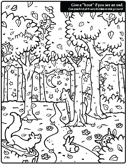 Hidden Owl Find on crayola.com | Owl coloring pages, Coloring pages, Animal  coloring pages