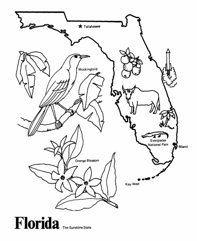 Florida State outline Coloring Page. I copy the image and paste to ...